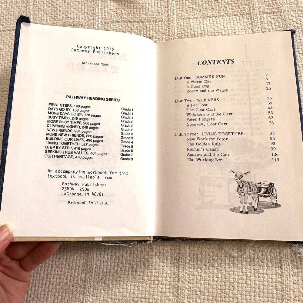 VTG Busy Times Pathway Reading Series Grade 2 Textbook Denim Bird‎ Cover